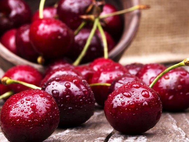 Вишня купить саженцы из питомника в Белогорске